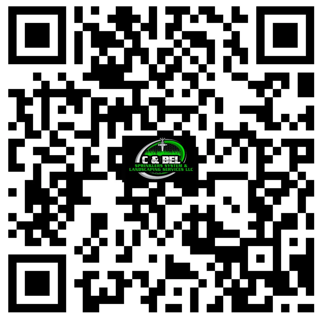 C and BEL QR code